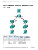 Práctica de laboratorio: Configuración básica de RIPv2 y RIPng