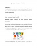 Tema la democracia: México en el que vivo