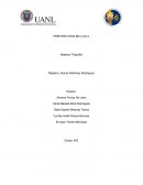 Periodo cosmológico. PERIODO COSMOLÓGICO O PRESOCRÁTICO