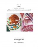 Introducción a la Economía ¿Cuál seria el modelo económico para nuestro pais?