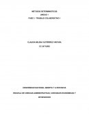 PROGRAMACION PL Y PLE SOLVER