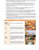 Guía Nutrición y salud 5° básico