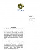 Definición, elementos y características jurídicas del concepto de patrimonio