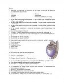 EVALUACION HISTOLOGICA