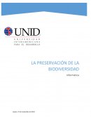 La preservación de la Biodiersidad en Campeche