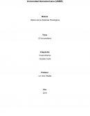 El funcionalismo. Influencias del funcionalismo