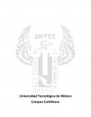 Ejercicios de la Unidad 10 “La empresa”