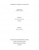 Programa Administración Financiera