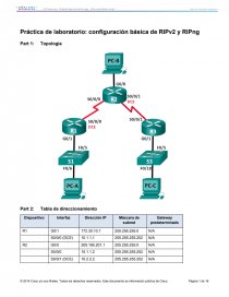 Práctica de laboratorio: Configuración básica de RIPv2 y RIPng. Página 1