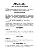 CONSTITUCION ORGANICA