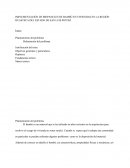 IMPLEMENTACIÓN DE BIOPANELES DE BAMBÚ EN VIVIENDAS EN LA REGIÓN HUASTECA DEL ESTADO DE SAN LUIS POTOSÍ