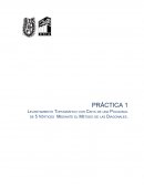 LEVANTAMIENTO TOPOGRAFICO. Método de las Diagonales