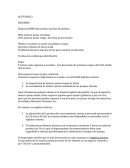 Tarimas rotas regresan a la matriz. Con descuento de próxima compra del 10%. Nadie más lo hace.