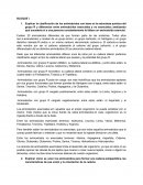 Discusion 2 bioquimica