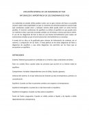 NATURALEZA E IMPORTANCIA DE LOS DIAGRAMAD DE FASE