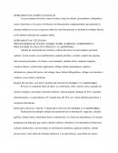 HERRAMIENTAS COMPUTACIONALES..