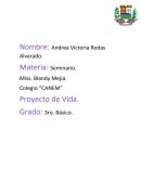 Colegio “CANEM” Proyecto de Vida