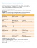 Clasificación, estructura y replicación de las bacterias.