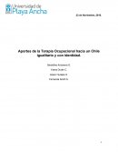 Aportes de la Terapia Ocupacional hacia un Chile igualitario y con identidad..
