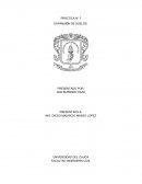 PRÁCTICA N° 7 EXPANSIÓN DE SUELOS