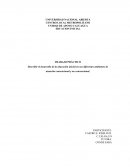 TRABAJO PRÁCTICO Describir el desarrollo de la educación inicial en sus diferentes ambientes de atención convencional y no convencional