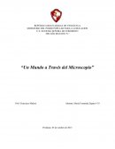 Un mundo a través del microscopio