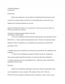 Actividad integradora 1 Composición