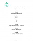 Gestión Dinámica de la Estructura Organizacional