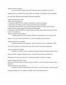 Aparato respiratorio del pez