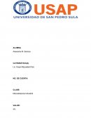 SEGMENTACIÓN EN MARKETING INDUSTRIAL.