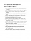 ¿Qué es la respiración externa? Es el proceso de intercambio de 02 y CO2 entre la sangre y la atmosfera