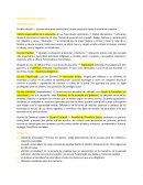 Presentación Indo América