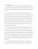 Los viajeros de la salud