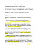Ensayo Salud Pública Demografía sanitaria, demografía estática y demografía dinámica