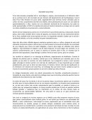 RESUMEN EJECUTIVO Finca Villa Amanda