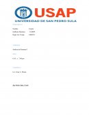 Caso RODA AUTOS S DE RL DE CV