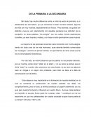 Experiencia primaria a secundaria