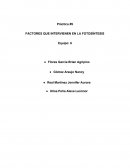 Práctica #9 FACTORES QUE INTERVIENEN EN LA FOTOSÍNTESIS
