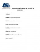 Reporte de Lectura “FISH”