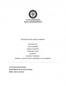 SISTEMAS DE COMPENSACION. CAPACITACIÓN Y DESARROLLO DE CARRERA