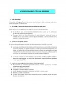Cuestionario de celula animal