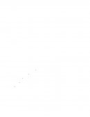 Análisis Del Dictamen del Auditor