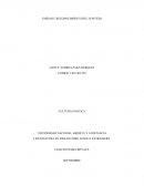 Actividad individual Cultura politica