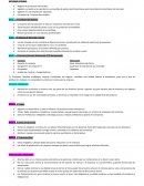 Manufactura SAGITARIO.