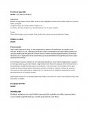 El criterio ejercido.