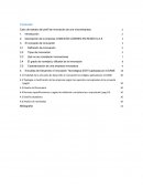 Caso CONEXIÓN LÍDERES EN REDES S.A.S