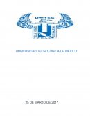 LOS SIETE MEDIOS DE LLENAR UNA BOLSA VACÍA