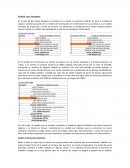 Análisis caso Tenalpina