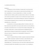 La comunicacion es vida