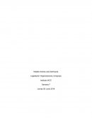 Legislación Organizacional y Empresa control 7.